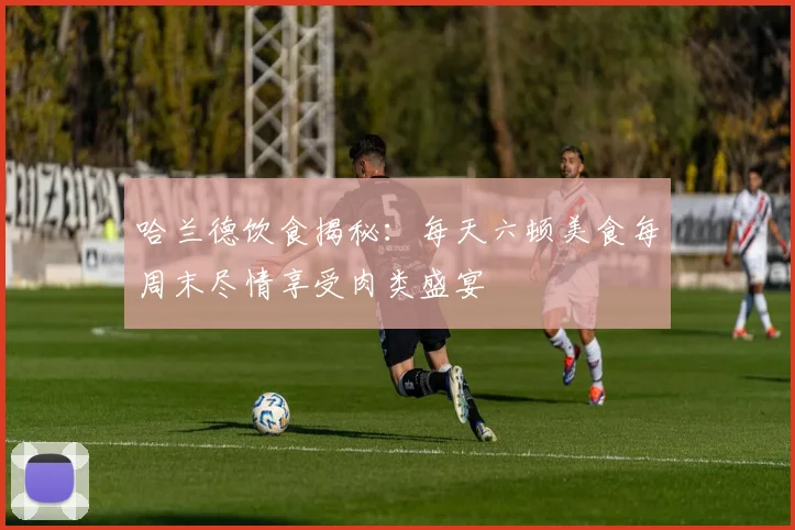 哈兰德饮食揭秘：每天六顿美食每周末尽情享受肉类盛宴