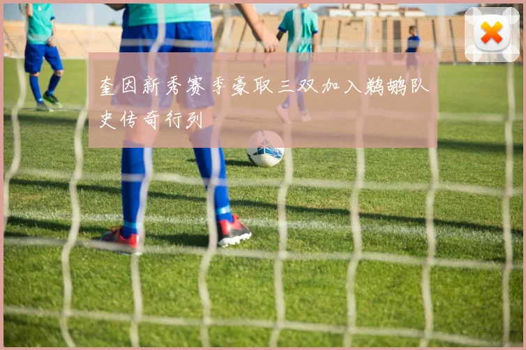 奎因新秀赛季豪取三双加入鹈鹕队史传奇行列