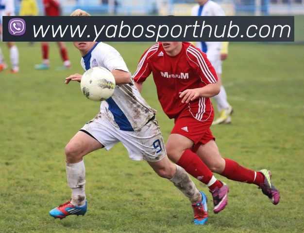 亚博体育APP 封面图